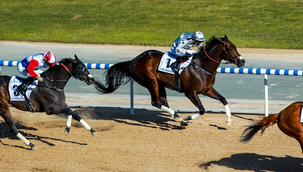 "بانشنغ" يتوج بلقب "غودلفين مايل" في كأس دبي العالمي 2026