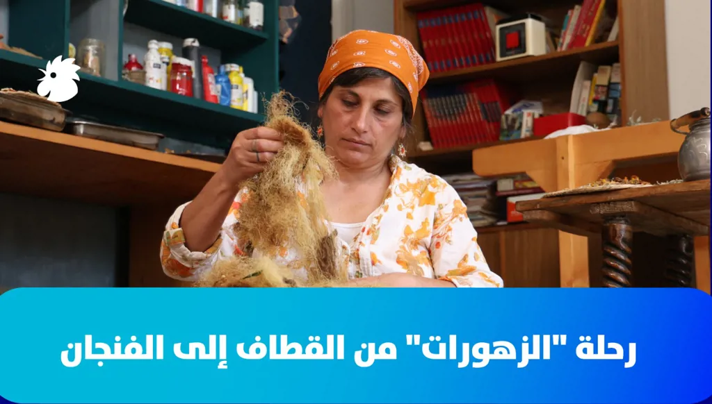 رحلة "الزهورات" من القطاف إلى الفنجان