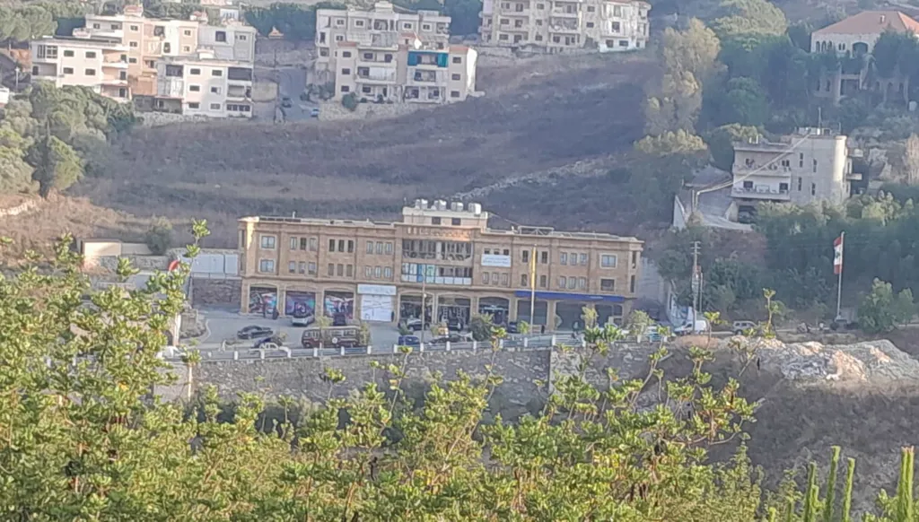 مسيّرة إسرائيلية تستهدف منطقة عين المزراب- تبنين جنوبي لبنان