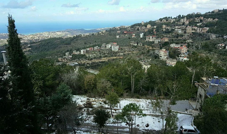 شحيم (وكالات).