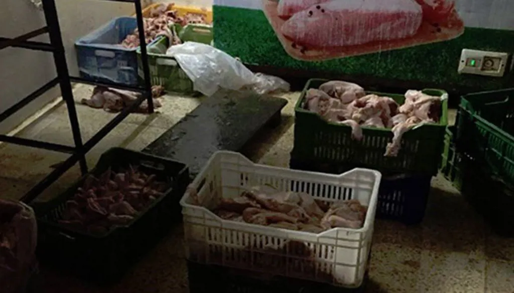 بالفيديو- لونها غير طبيعي... ضبط كمية كبيرة من الدجاج الفاسد في سعدنايل!