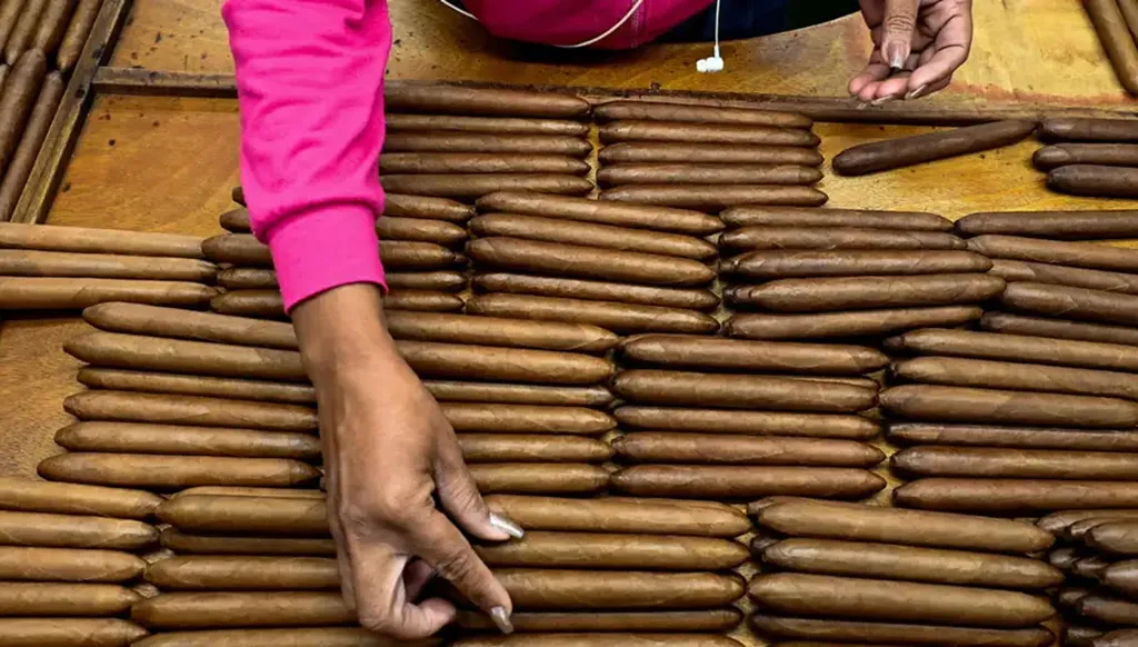 اقتصاد السيغار العالمي: تجارة بمليارات الدولارات