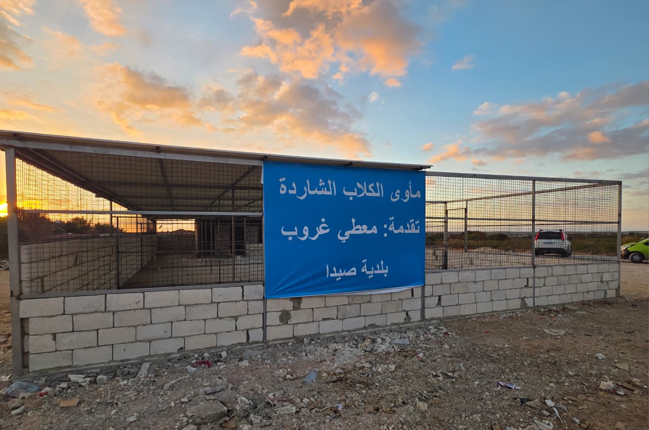 هل تعالج هذه المسألة نهائياً؟