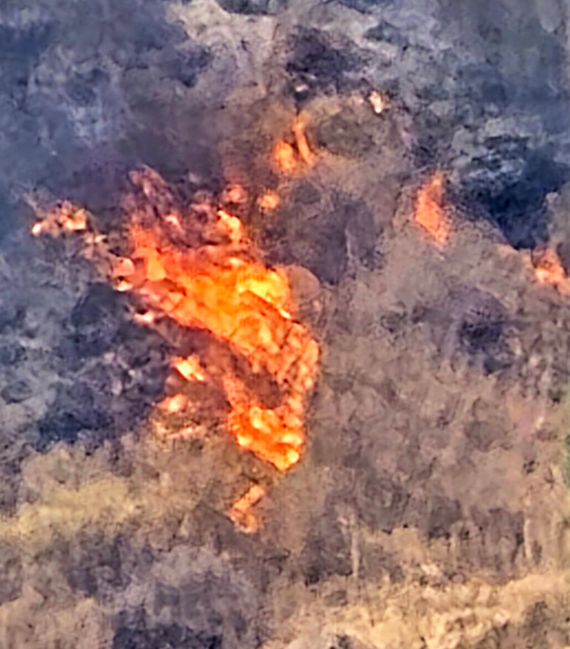 الحريق الذي اندلع فجر امس في اراضي عاراي واستمر حتى الظهر