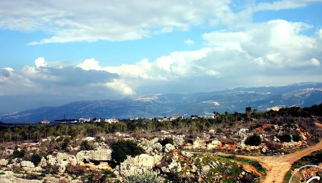 إصابة خطيرة بإطلاق نار على "توك توك" في الكورة شمال لبنان