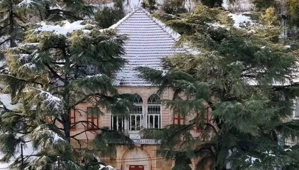 أرز لبنان تكلل بالأبيض... واليازا تحذر من "آدم"