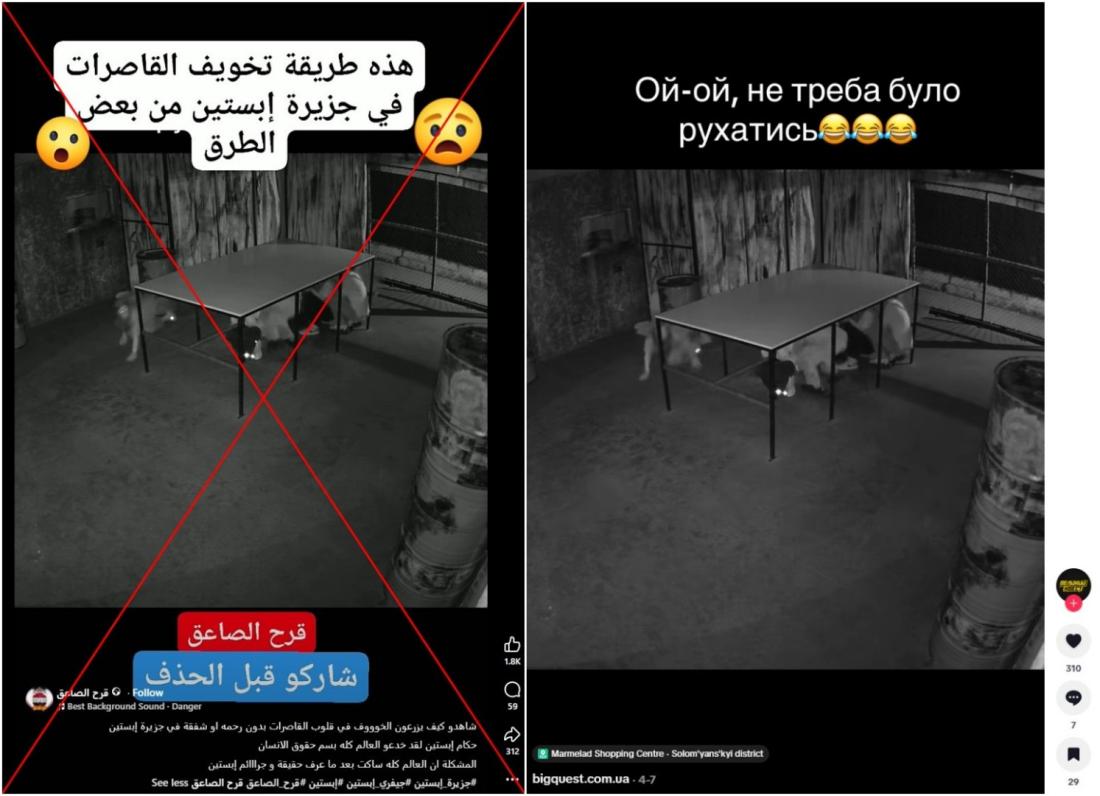 مقارنة بين لقطة من موقع تيك توك ولقطة من الفيديو المتداول