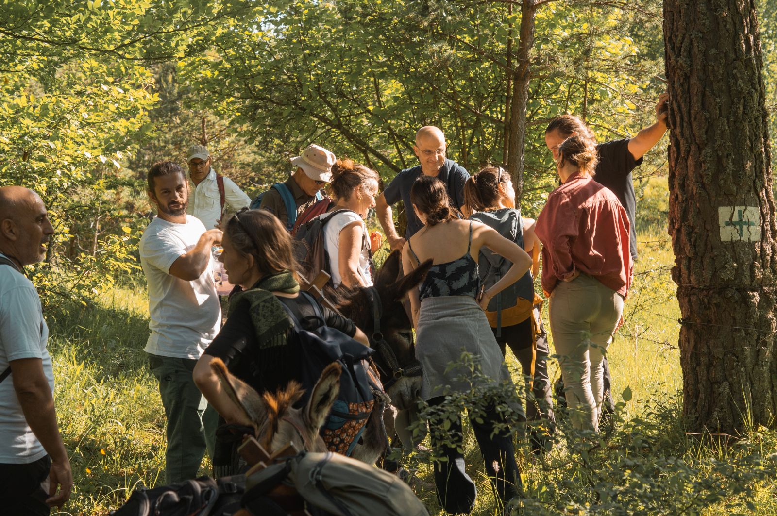 شبكة دروب البحر المتوسط (النهار)