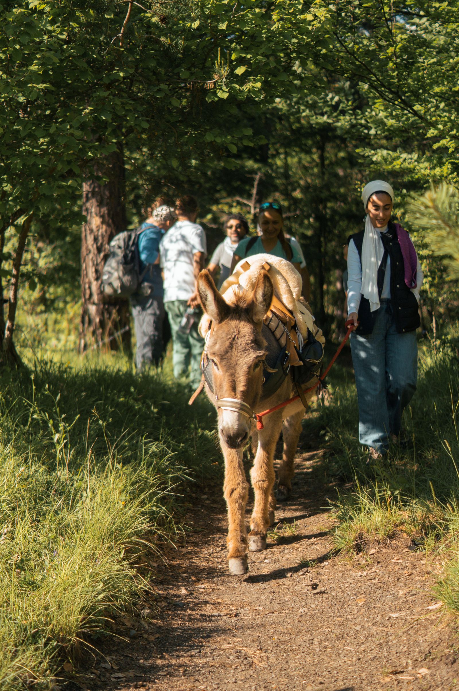 شبكة دروب البحر المتوسط (النهار)