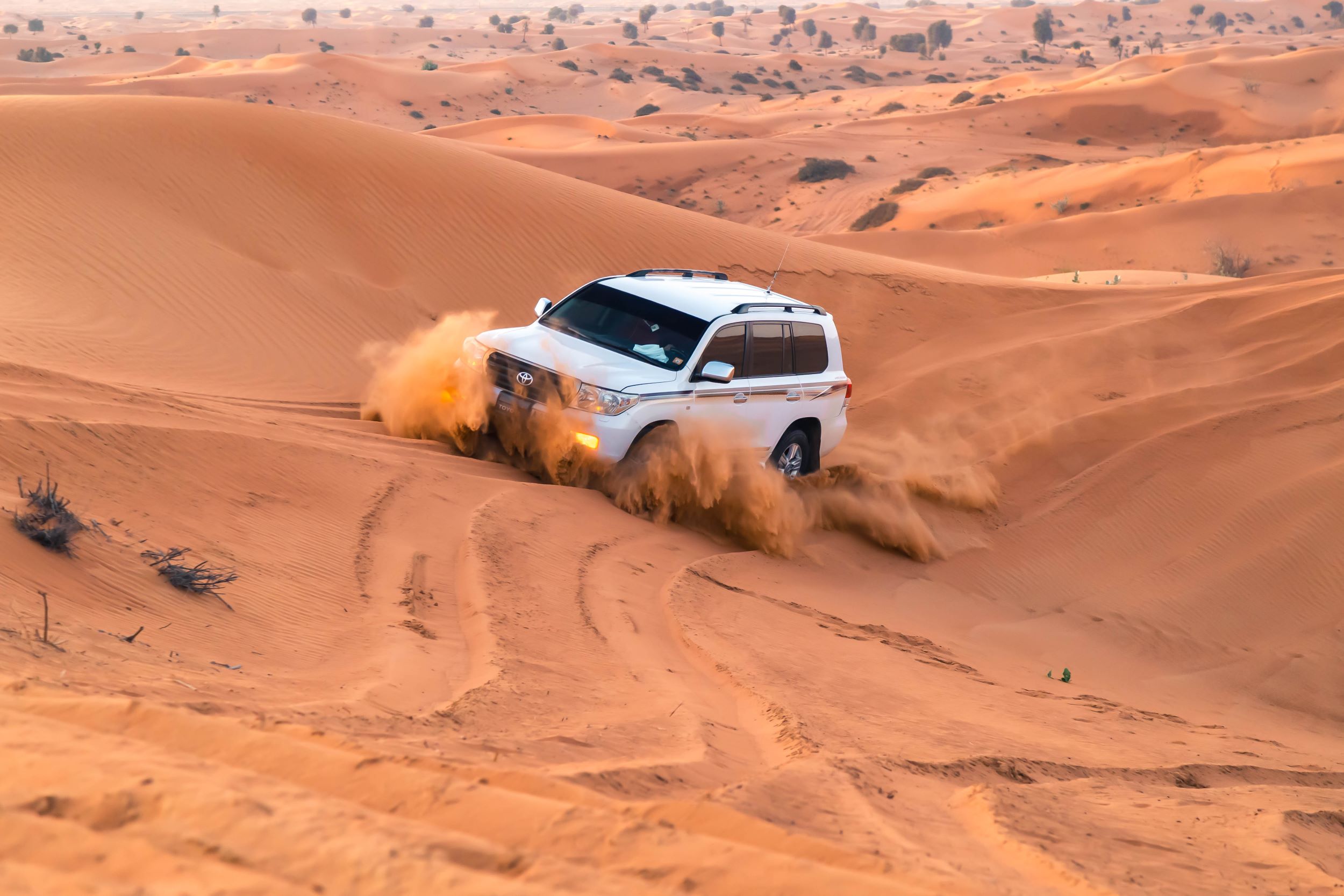 مغامرة بسيارة دفع رباعي على الكثبان الرملية (برنامج سفاري من جدة لدى Tourist Saudi Arabia)