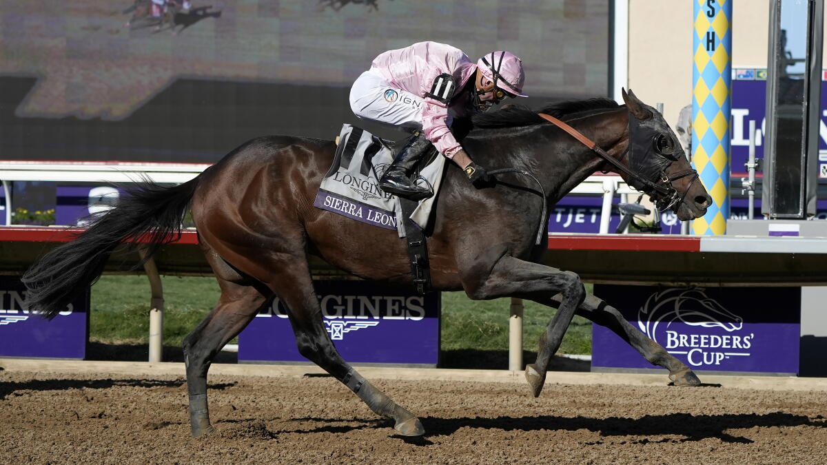 من كأس المربين العالمية للخيول. (Breeders’ Cup)