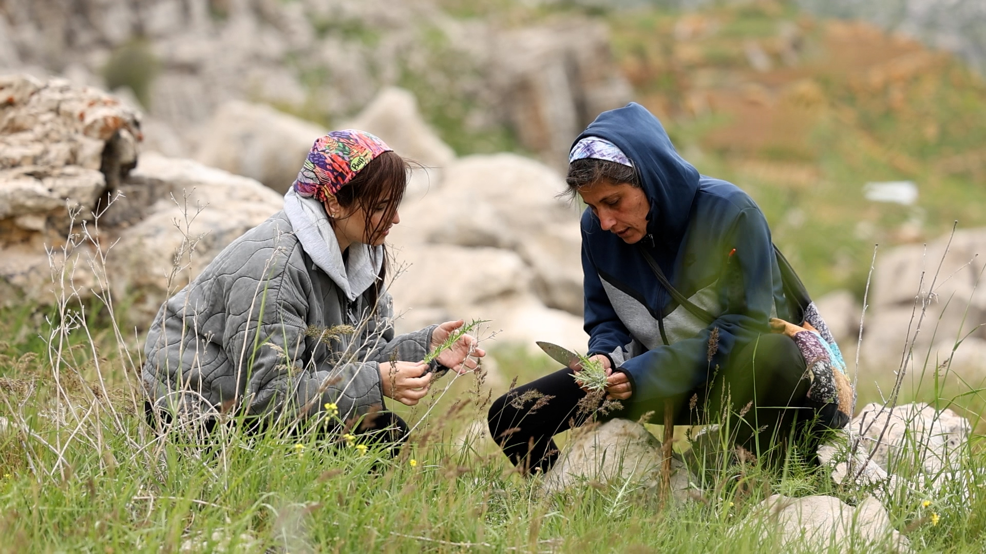 تسليق الكوب في جبال لبنان مع المزارعة والحرفية اللبنانية تقلا الخويري (النهار)