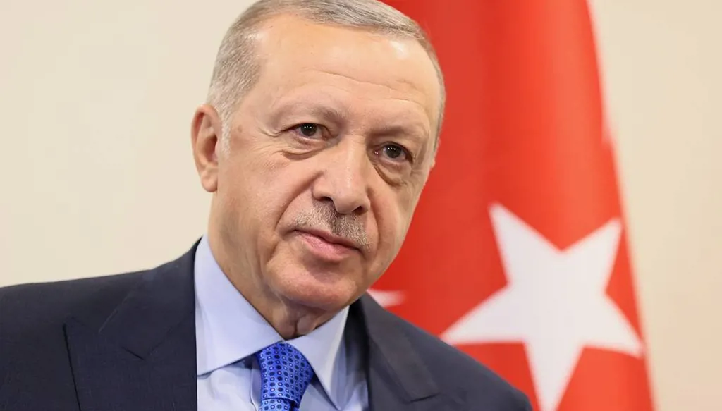 اعتقلوا بتهمة "إهانة" إردوغان... الإفراج عن 14 شاباً