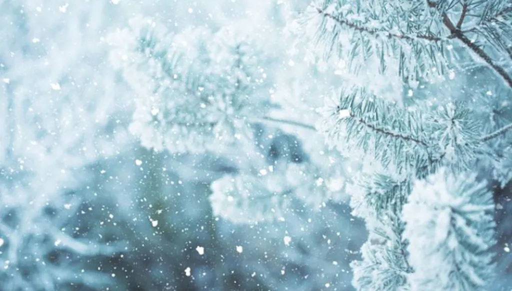 طقس لبنان... ثلوج وجليد الأربعاء وارتفاع بالحرارة الخميس!