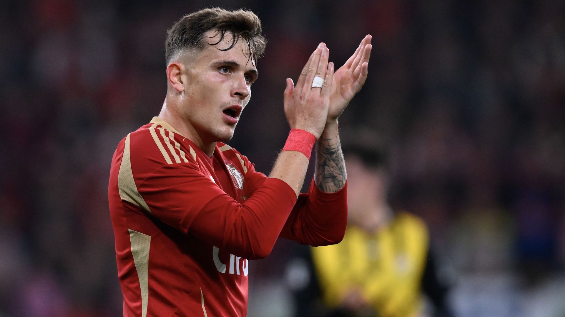 دنيس إيكيرت أينيسا. (وكالات)