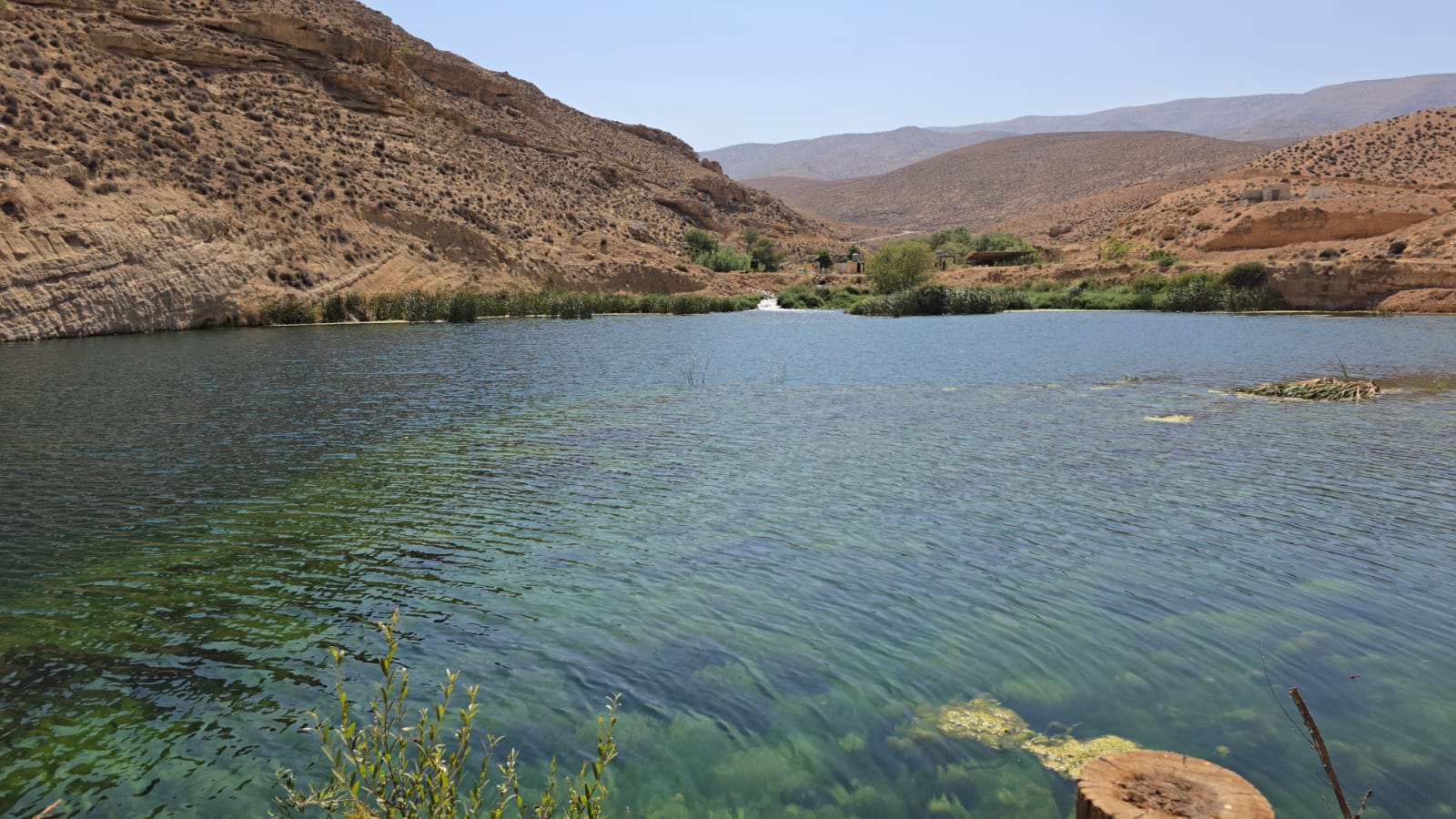 نهر العاصي (لينا اسماعيل).