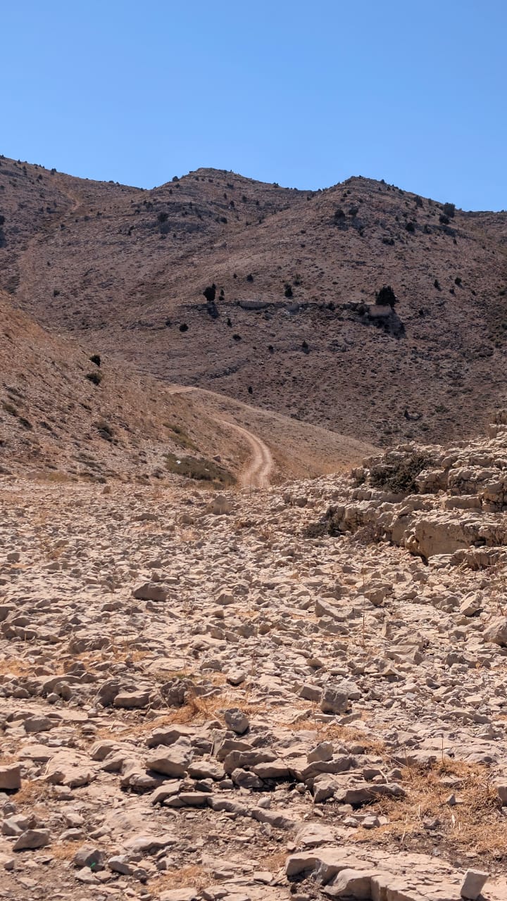 مشروع التشجير في جرود تنورين الذي أعطى نتائج مثمرة وناجحة (الصورة لريتا البكاسيني).