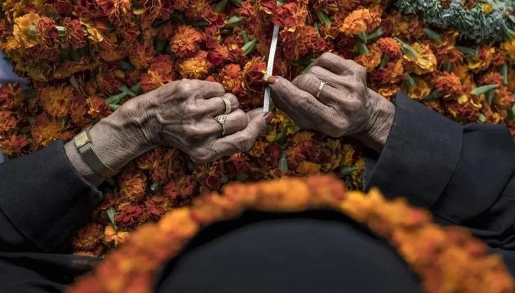 الثقافة السعودية تطلق "عام الحرف اليدوية 2025"