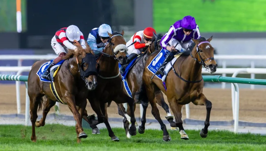 قرعة كأس دبي العالمي تشعل المنافسة على اللقب الأغلى في سباقات الخيل