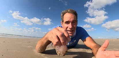 جايس تونيل وقناديل البحر النادرة (ديلي ميل)