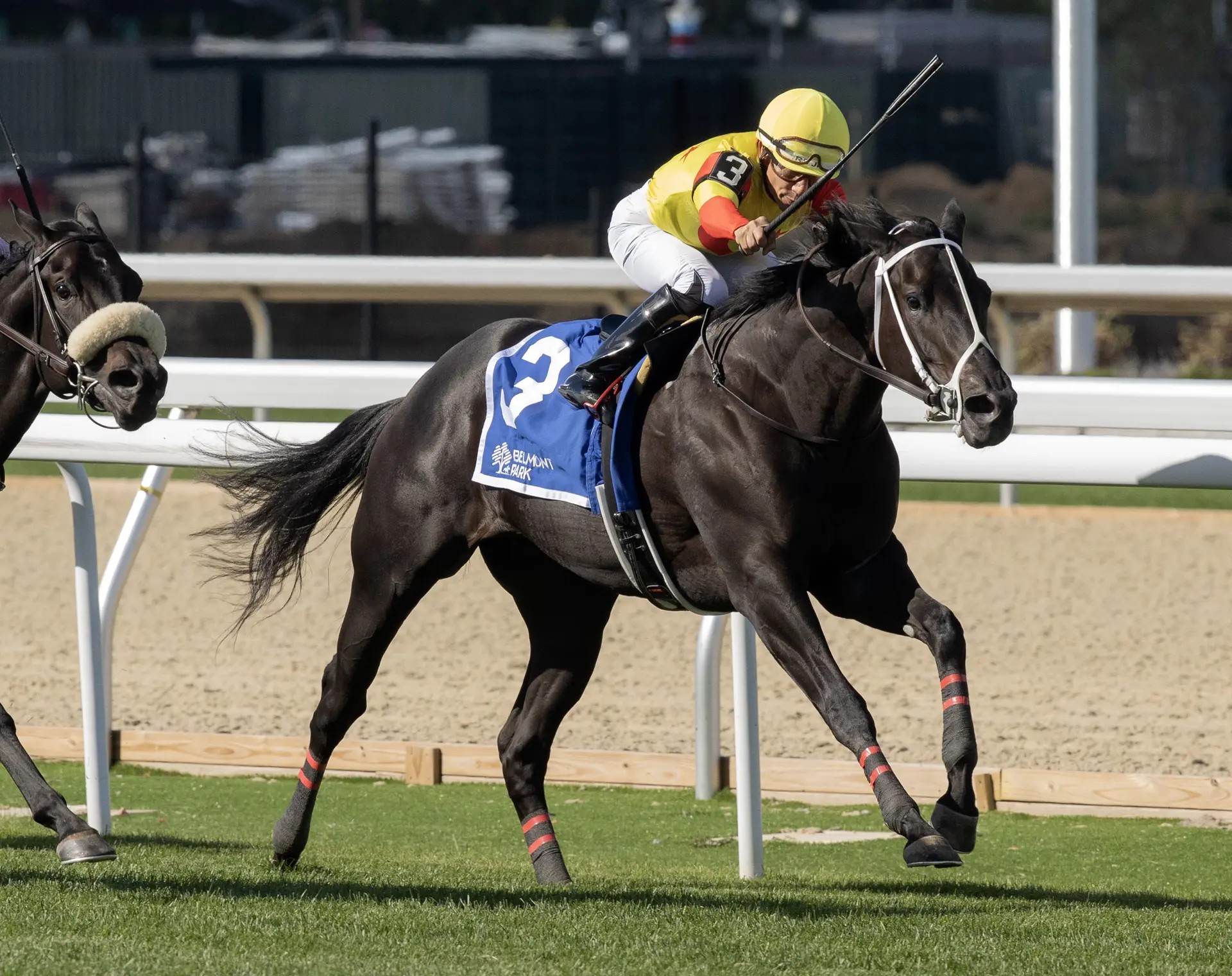 من كأس المربين العالمية للخيول. (Breeders’ Cup)
