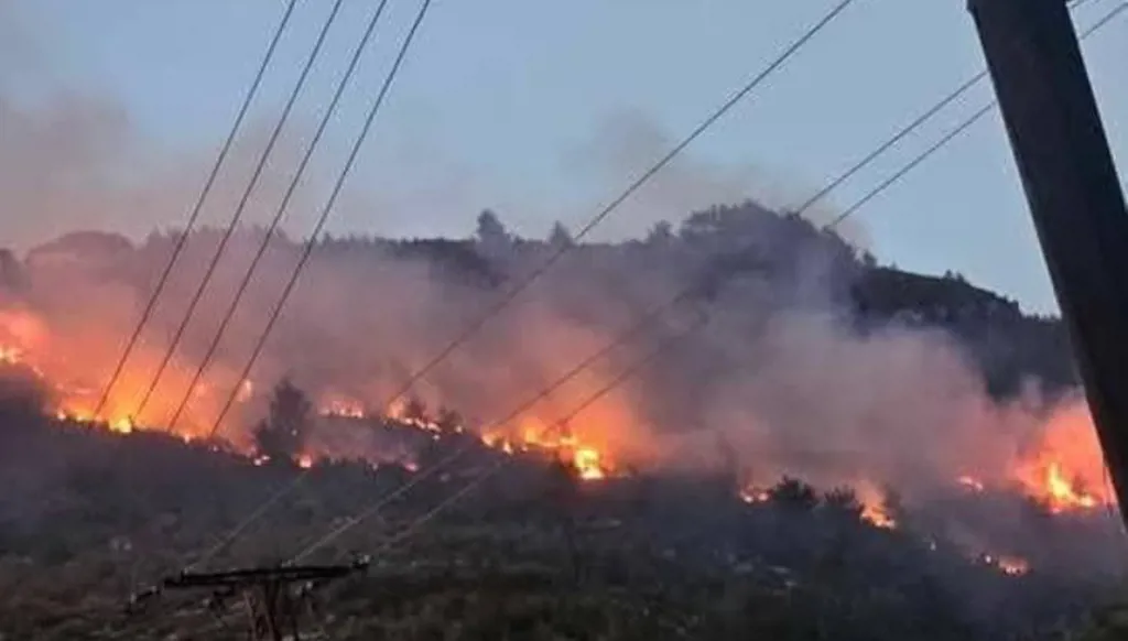 بالفيديو والصور-  حرائق "مريبة" ومتنقّلة في اللاذقية