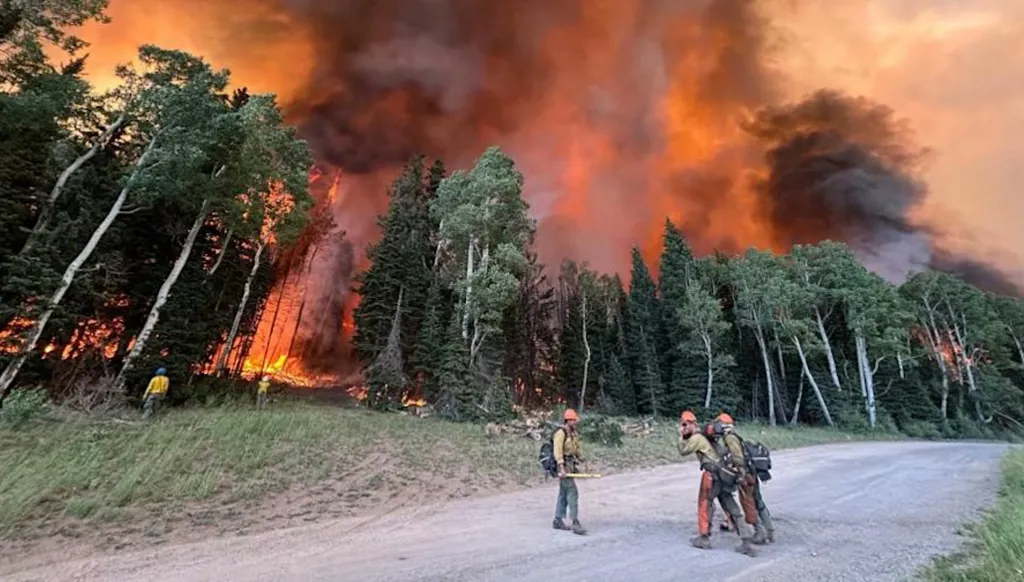 بالفيديو- حريق هائل يهدّد مئات المنازل في كاليفورنيا