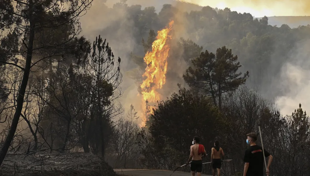 حرائق ضخمة تجتاح إسبانيا (أ ف ب)‏
