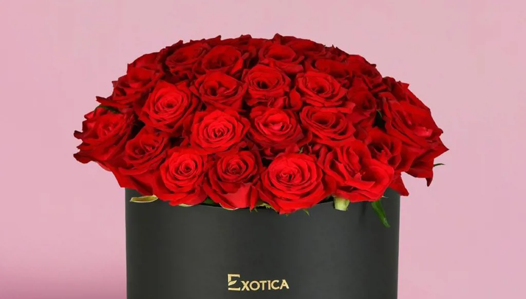 رغم تعرضّها للقرصنة... EXOTICA مستمرة بتقديم خدماتها للزبائن عبر الخط الساخن 1533 وموقعها الإلكتروني