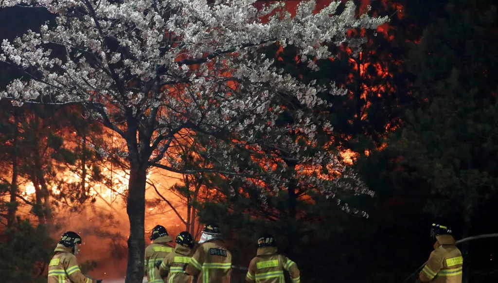 مقتل أربعة بحريق غابات في كوريا الجنوبية وإجلاء المئات