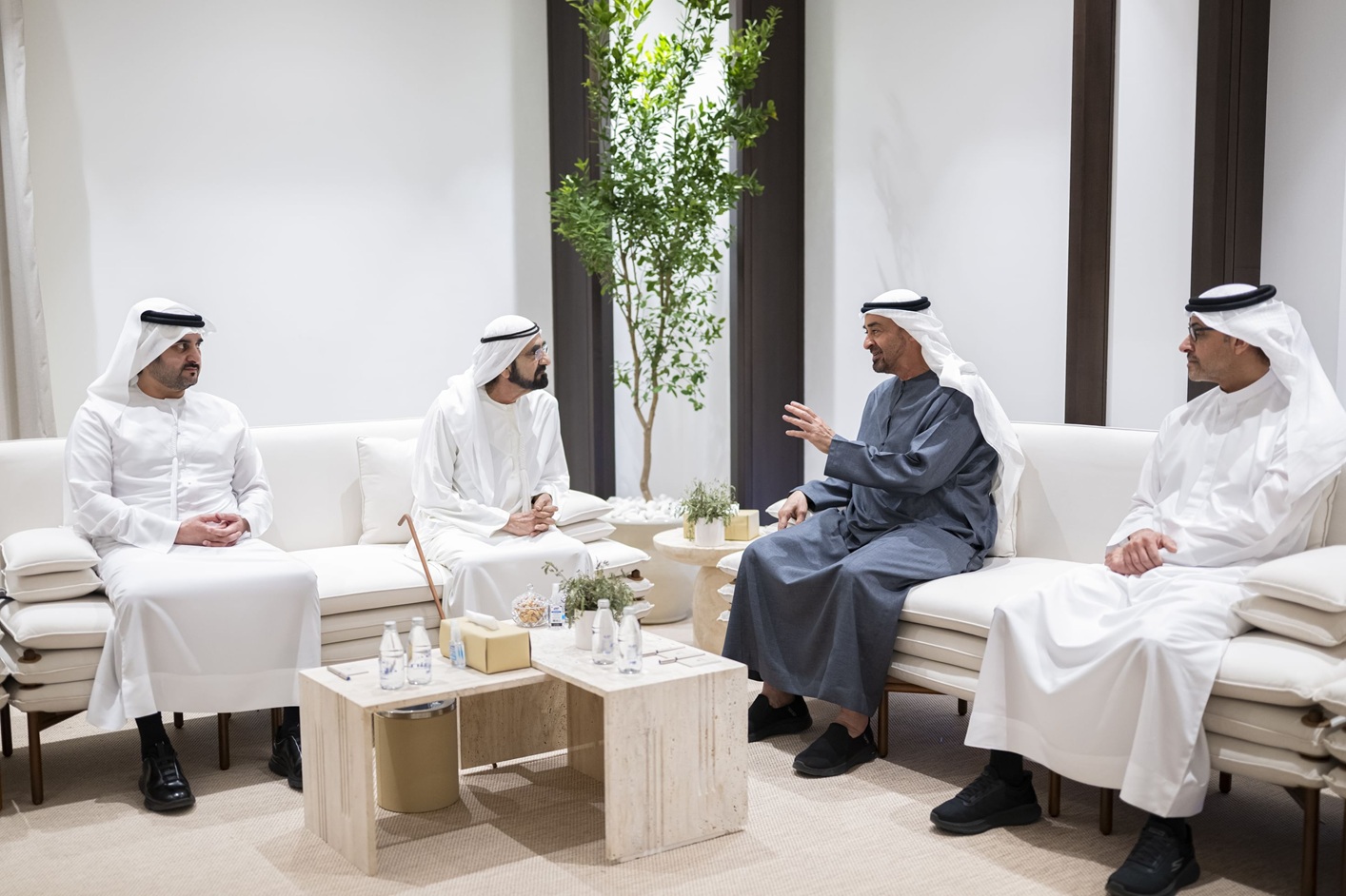 لقاء بين رئيس دولة الإمارات ونائبه. (وام)