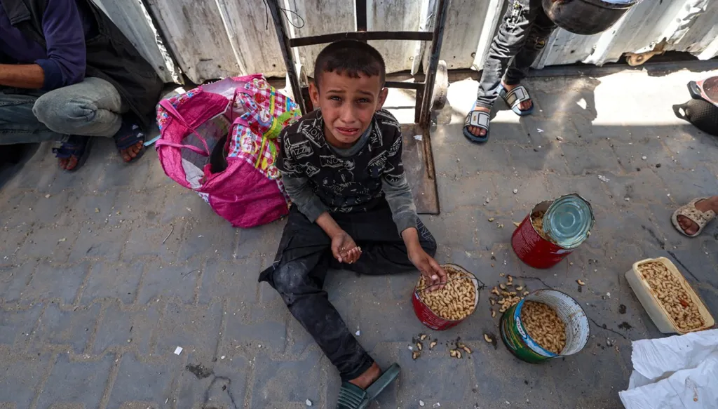 الأمم المتحدة تباشر توزيع المساعدات الإنسانية في غزة