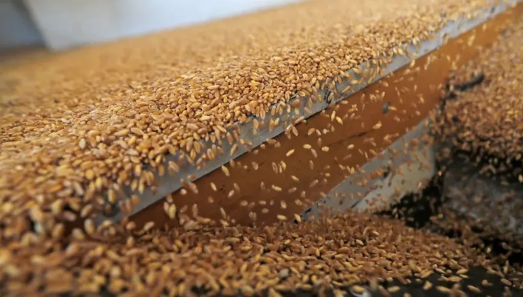 أوكرانيا ترسل أول دفعة من المساعدات الغذائية إلى سوريا