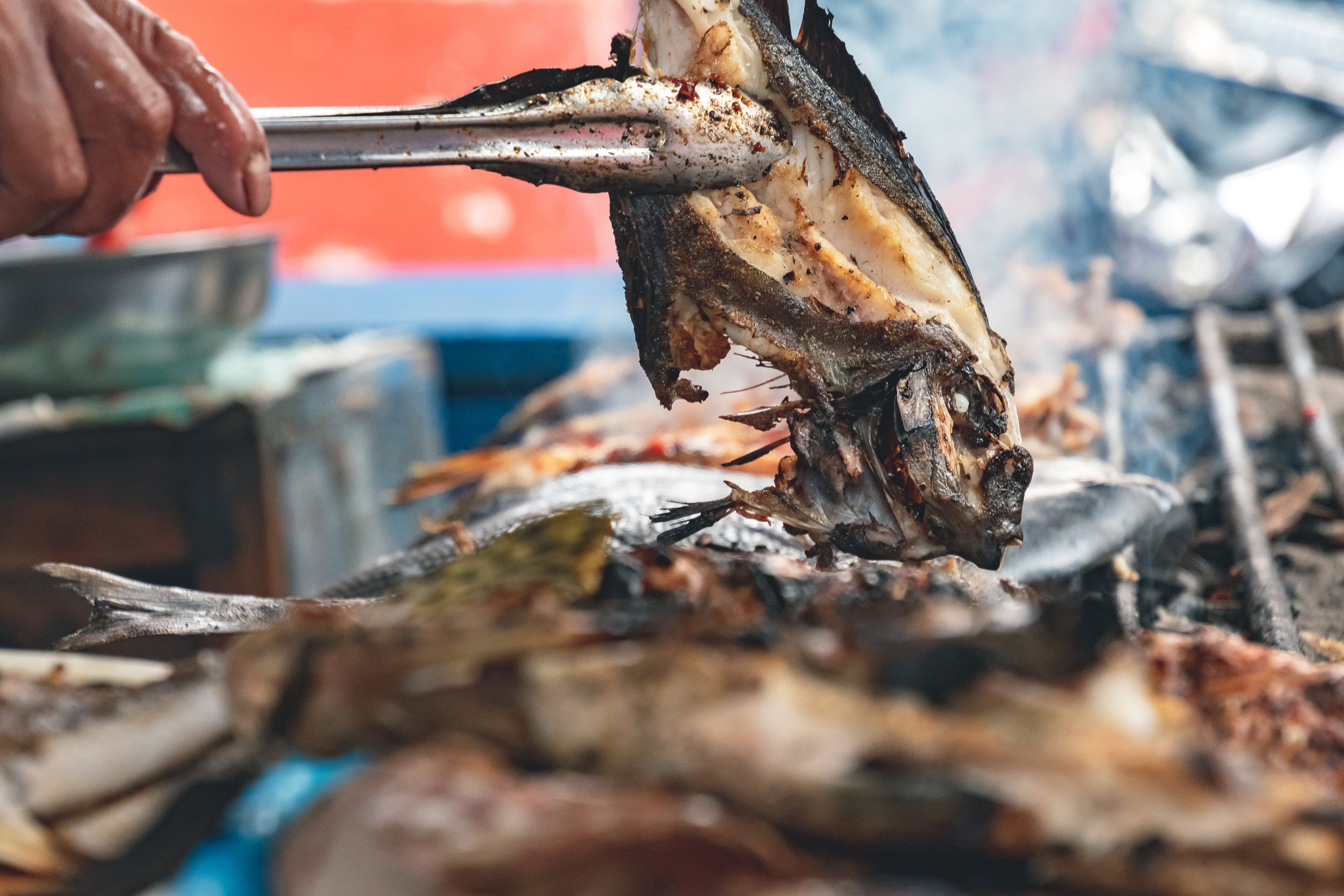 اعداد طبق من السمك (صورة تعبيرية- Envato)