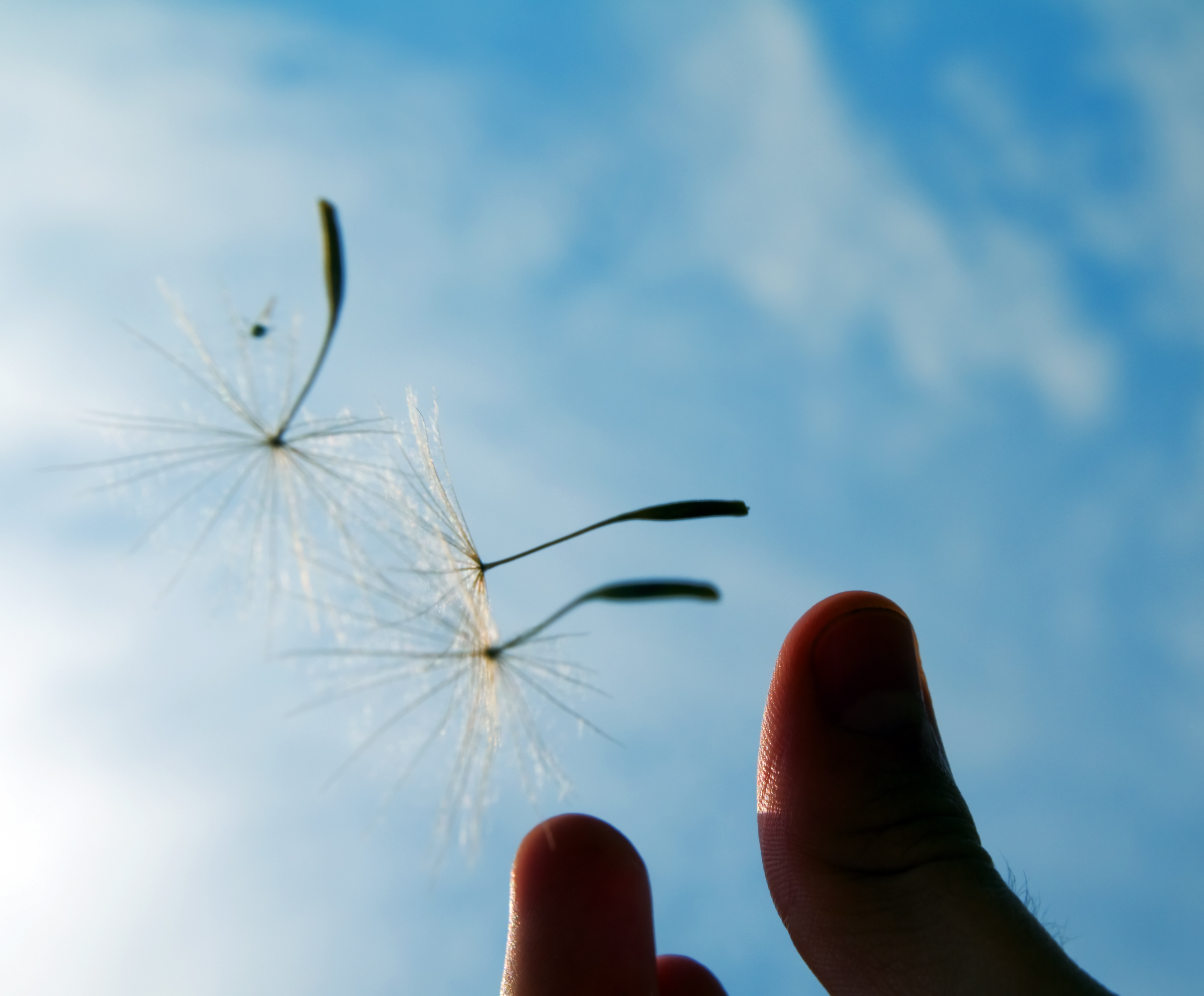 صورة تعبيرية (Freepik)