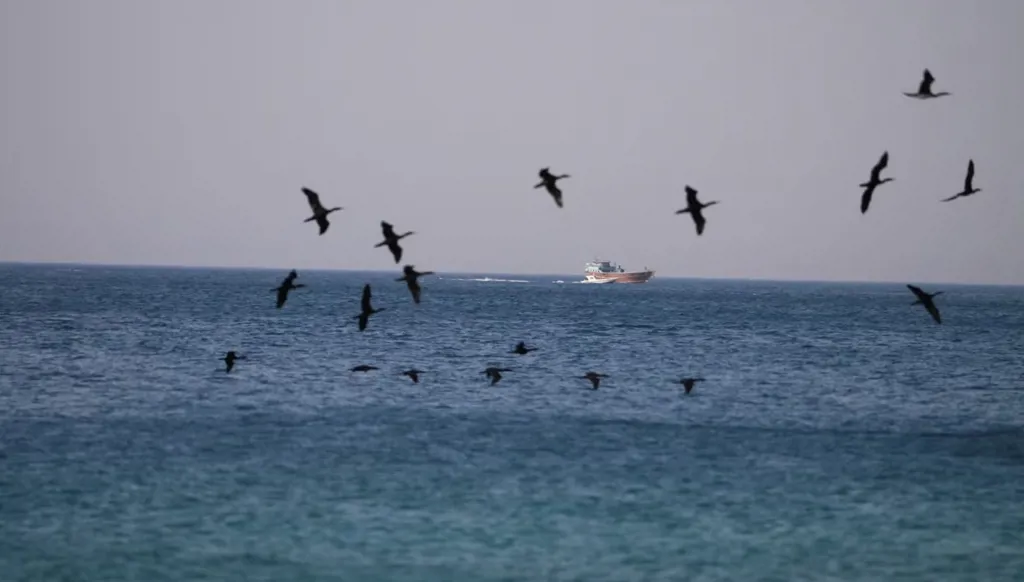صباح "النهار": خريطة جديدة للحرب ونهاية العصر الإيراني... تدخّل سوري ضد "حزب الله" قريباً؟