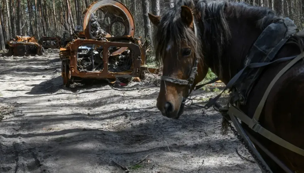 يا خيل الكرملين اركبي