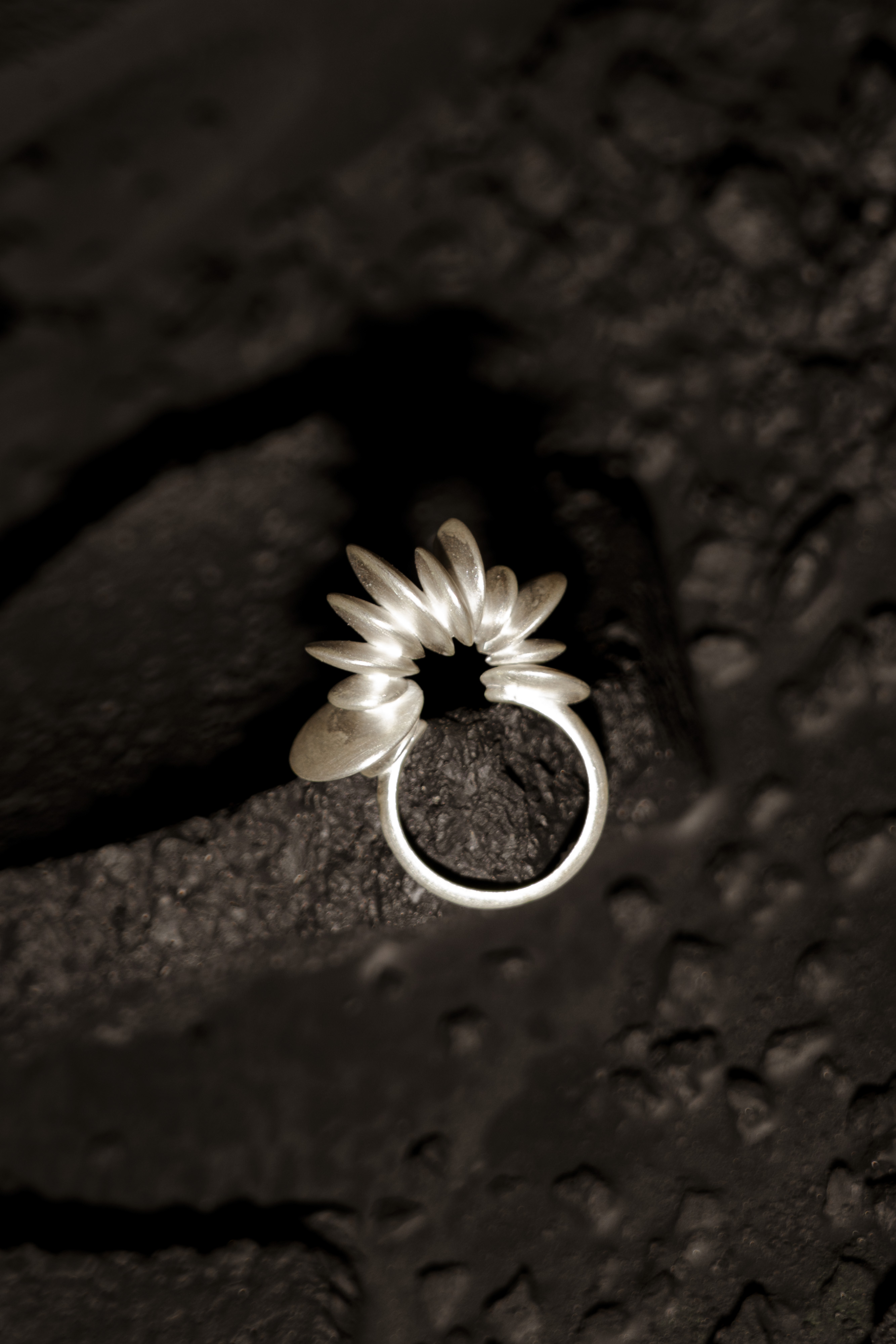 مجموعة نيزك للفنانة اللبنانية شانا بصبوص (بعدسة فرانسيسكا ماتا).