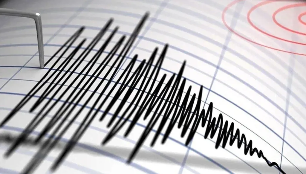 بقوة 4.9 درجات... زلزال يضرب "كوماموتو" اليابانية
