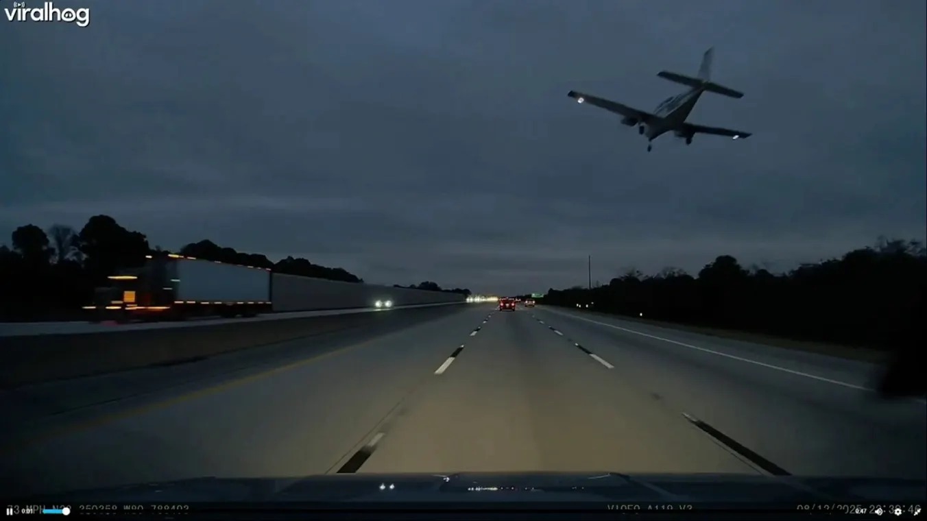 لقطة من الفيديو (فوكس نيوز).