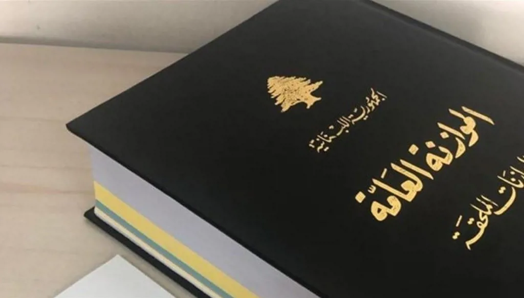 طعنان بموازنة 2025  أمام الدستوري والشورى؟
