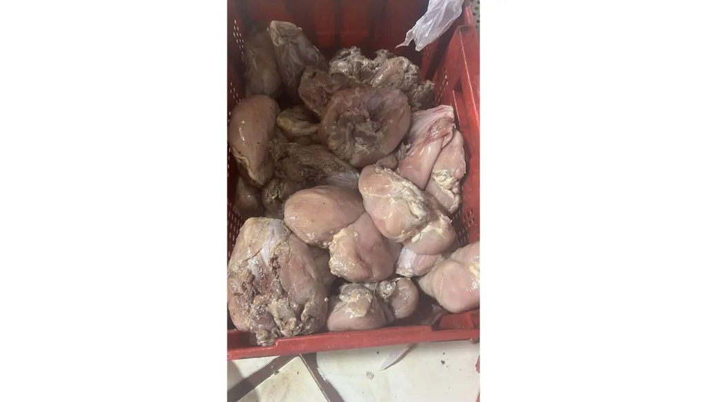 ضبط 10 أطنان من الدجاج الفاسد شمالي لبنان... توقيف 8 متورطين وختم المحل بالشمع الأحمر! (صور وفيديو)