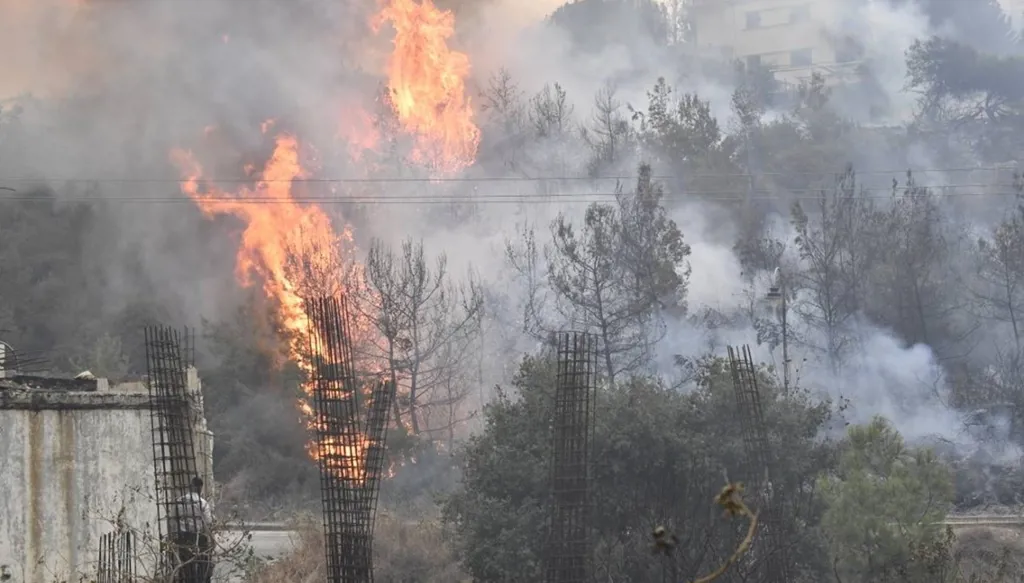 أوستروم لمواجهة الهشاشة والحرائق