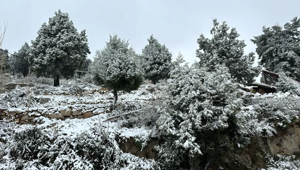 لبنان على موعد مع منخفض جوّي... أمطار غزيرة وثلوج!
