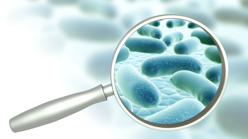 بكتيريا في المياه (صورة تعبيرية).