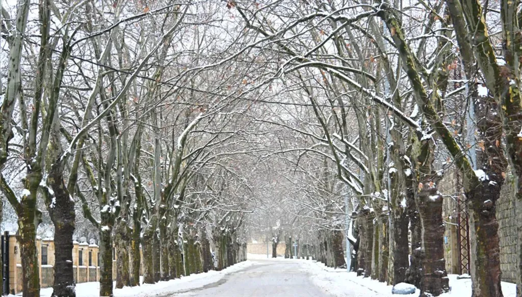 عاصفة تضرب لبنان اليوم... ثلوج وأمطار غزيرة وموجة صقيع!