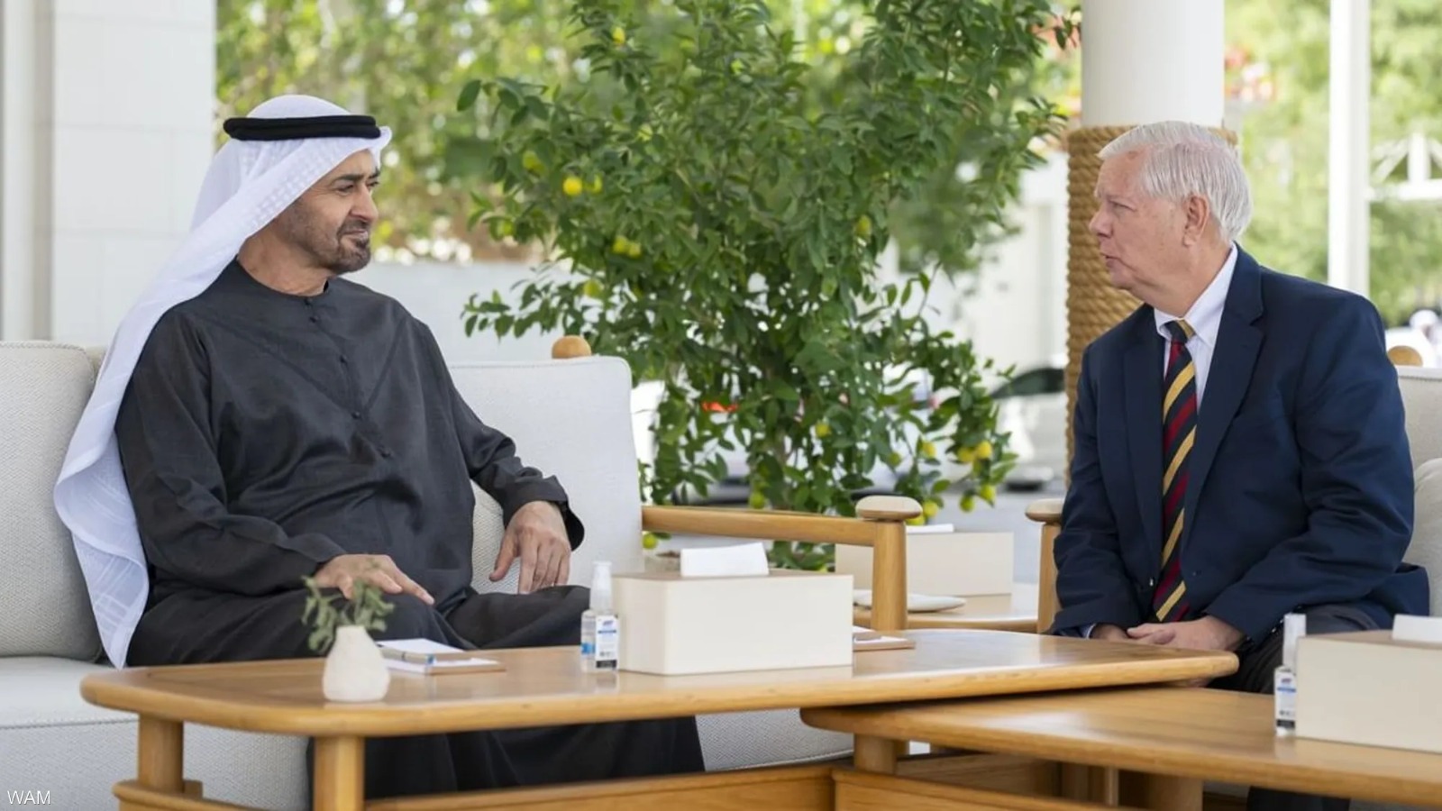 لقاء السيناتور الأميركي ليندسي غراهام ورئيس دولة الإمارات محمد بن زايد (وام).