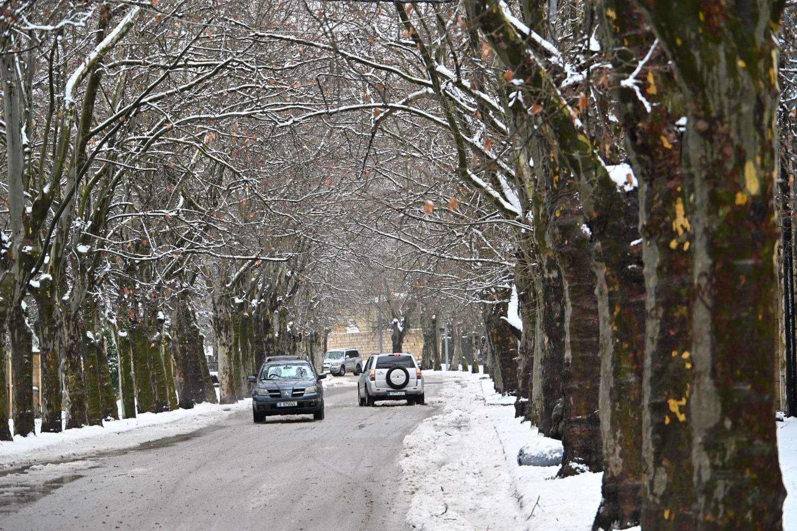 كورنيش صوفر مغطّى بالثلوج (حسام شبارو).