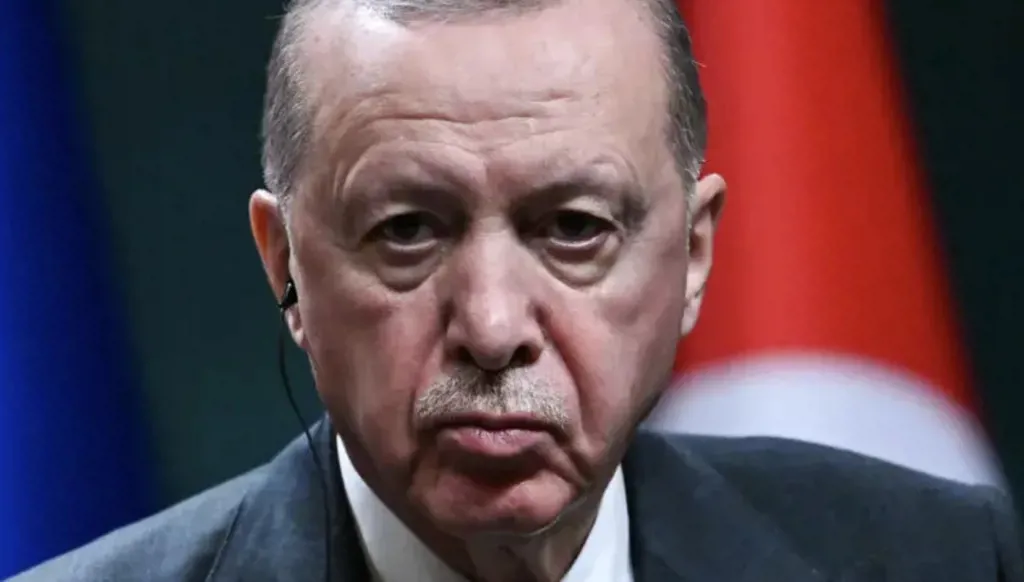 الرئيس التركي رجب طيب إردوغان (أ ف ب).