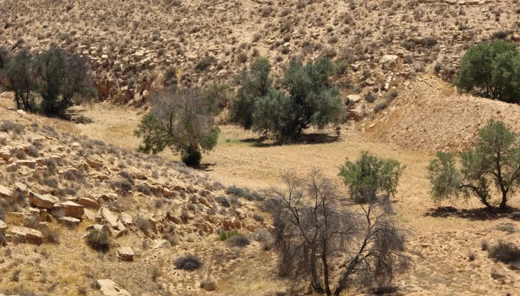 منظر طبيعي جاف وصخري في منطقة جبل نفوسة في ليبيا، والتي تواجه جفافاً شديداً بسبب تغير المناخ ( ف ب).